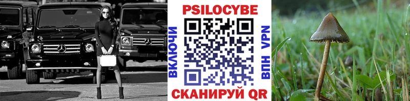 OMG ONION shop Telegram Псилоцибиновые грибы MAGIC MUSHROOMS даркнет сайт Нерюнгри