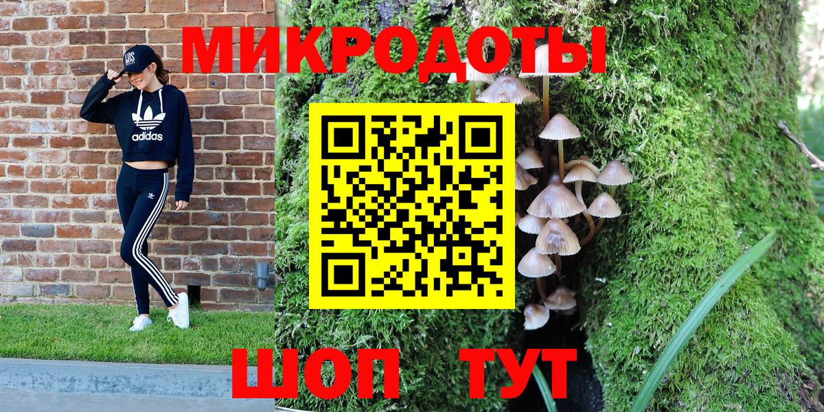 Галлюциногенные грибы MAGIC MUSHROOMS  Вход с VPN  Нерюнгри 