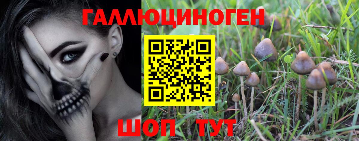 Псилоцибиновые грибы мицелий Нерюнгри